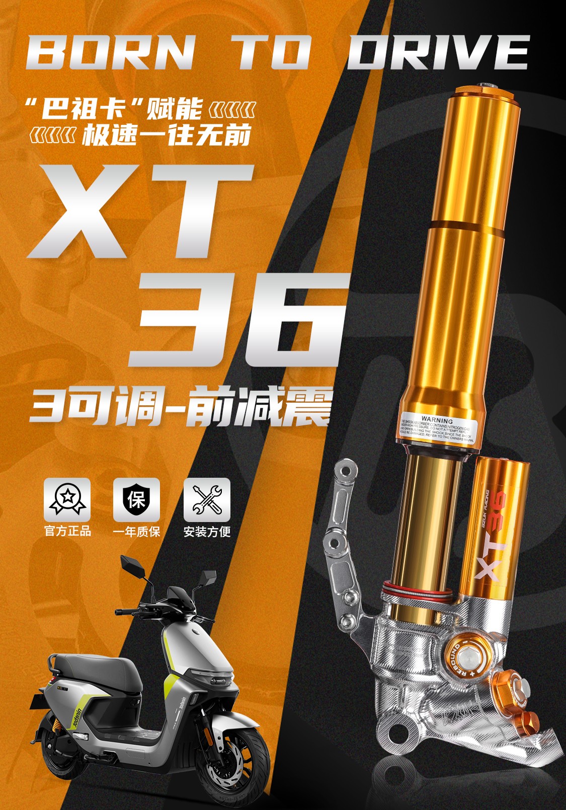 XT36_05.jpg